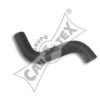 CAUTEX 186031 Radiator Hose